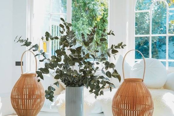 Qu'est-ce que le feng shui et quels sont ses principes ?
