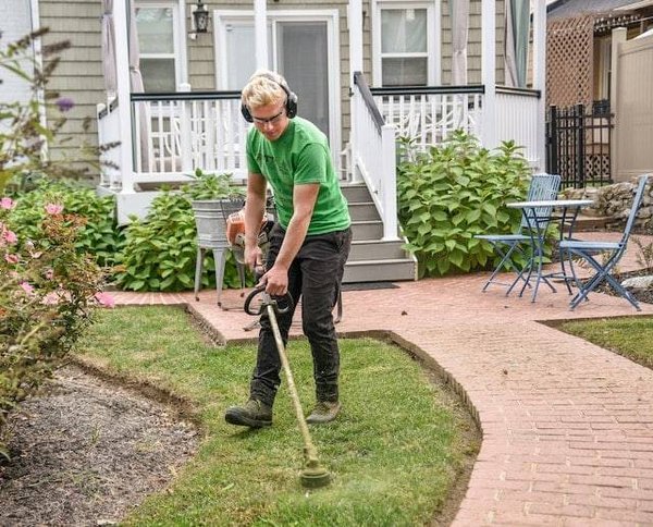 Comment entretenir son jardin au fil des saisons ?